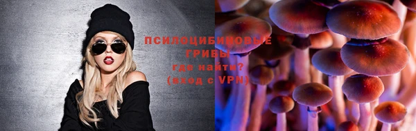 ECSTASY Заводоуковск