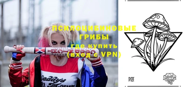 ECSTASY Заводоуковск