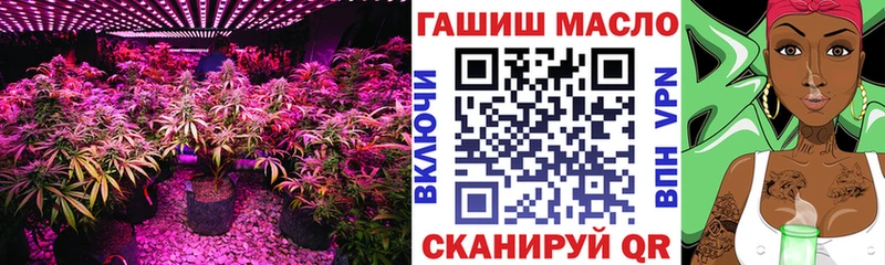 ТГК вейп  Купить где  Шуя 